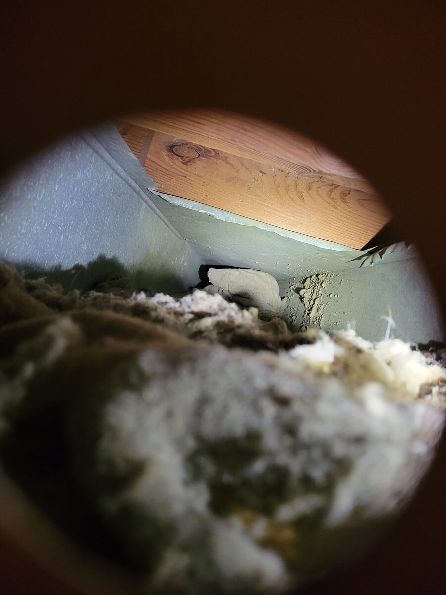 A duct trunk line coated in caked grey dust and silt before cleaning